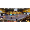 Portable raised running track unit 2.50 x 1.22 m