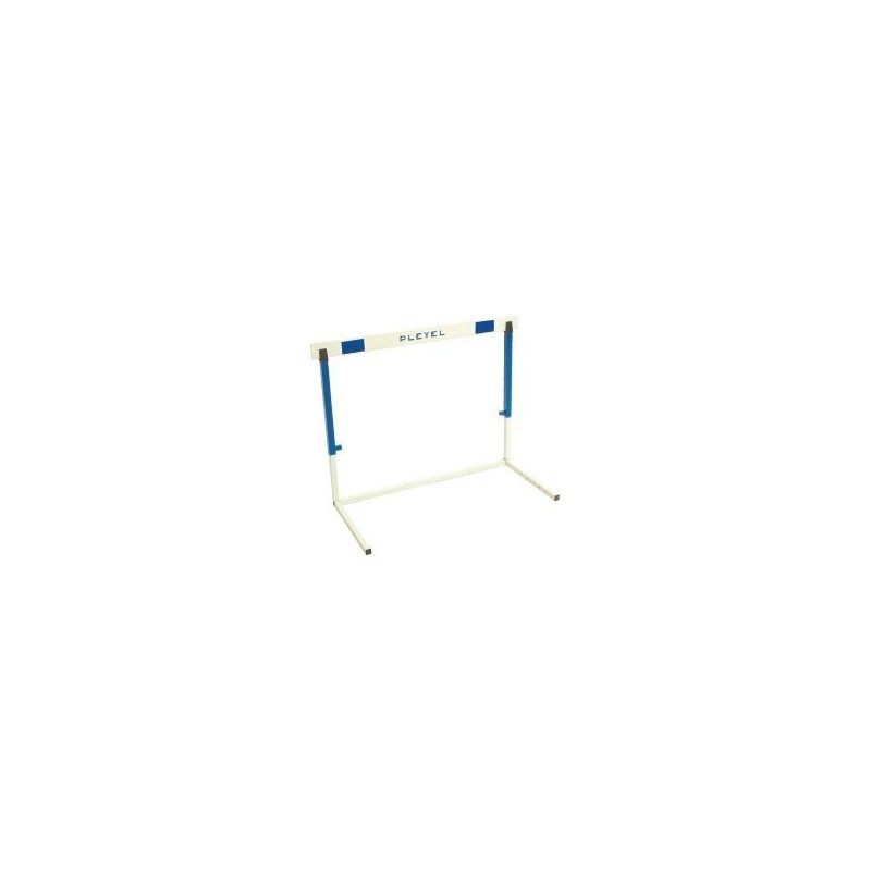 HAIES SCOLAIRES - LOT DE 3